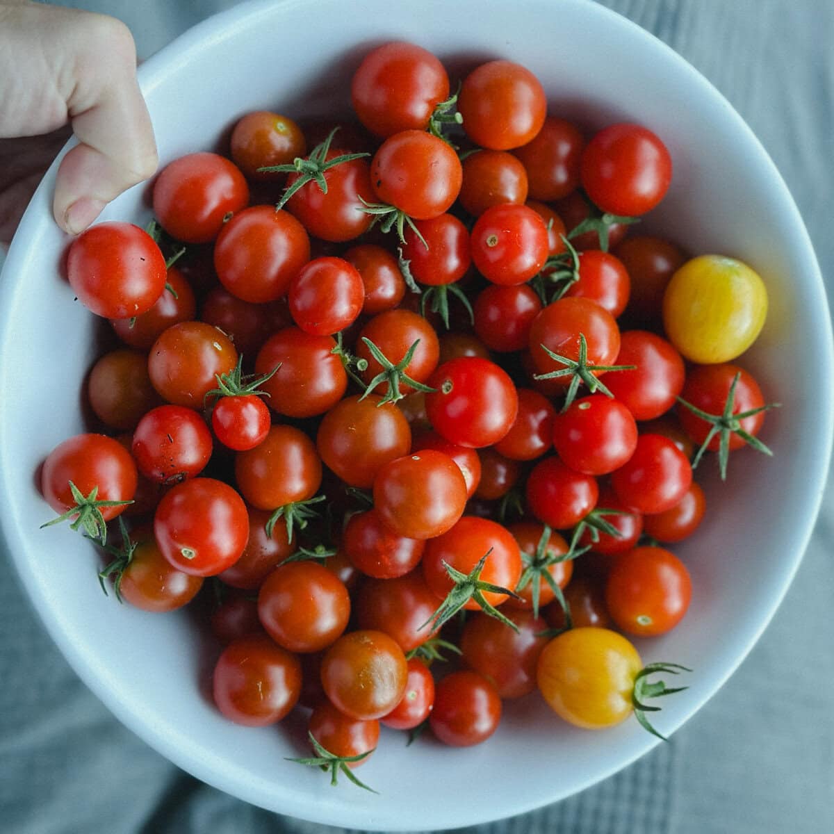 bol de tomates cerises