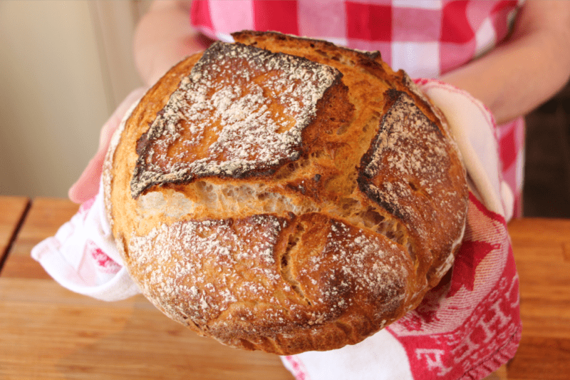 pain maison dans les mains de la petite bette