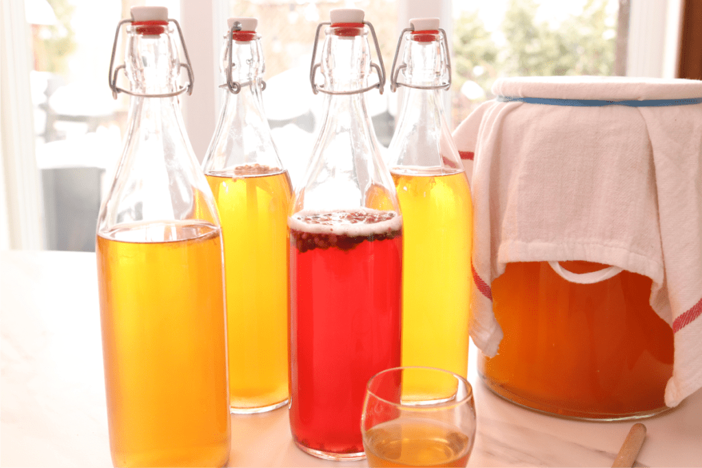 kombucha maison, 4 bouteilles colorées et fermentation en arrière plan