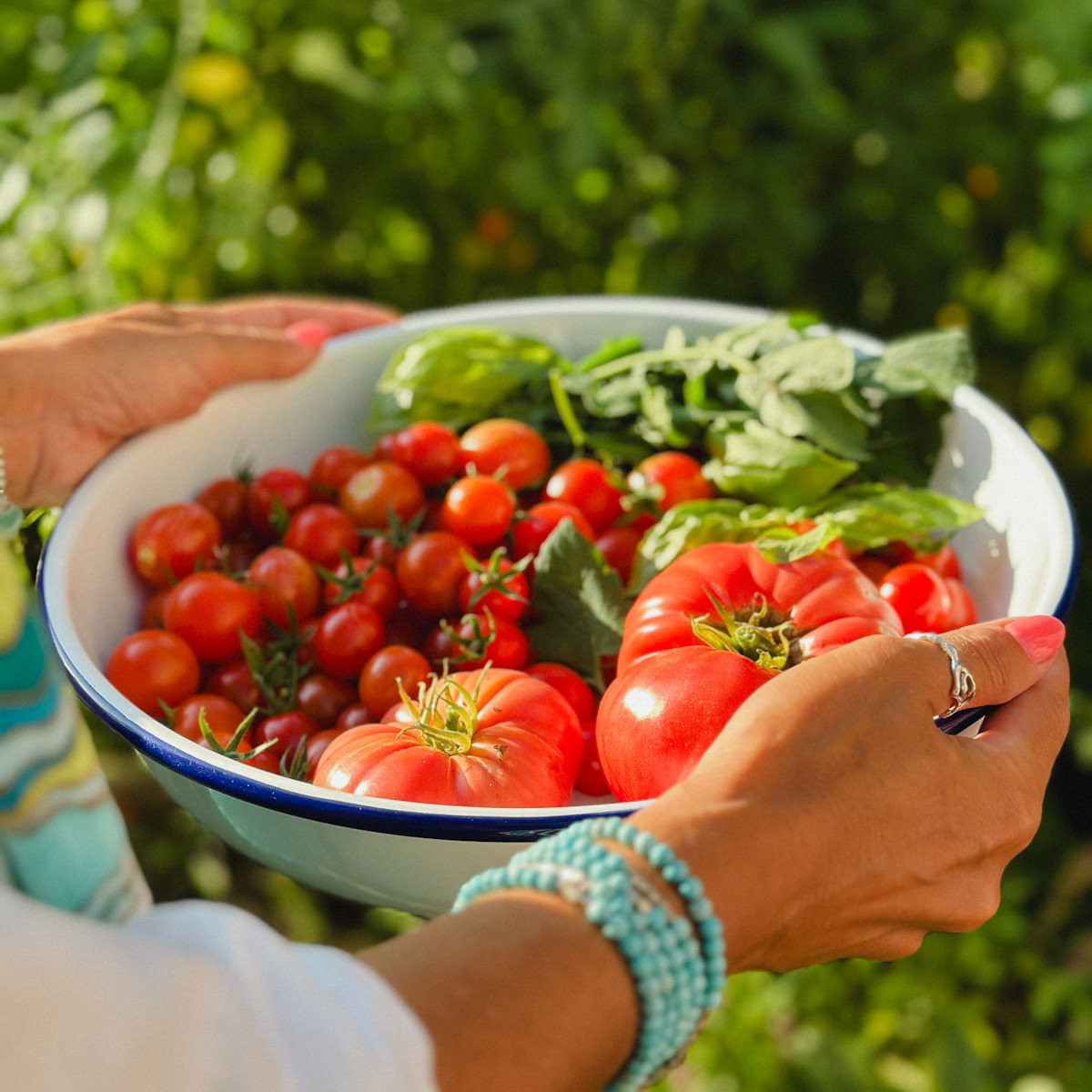 mains qui tiennent un bol remplis de tomates au soleil