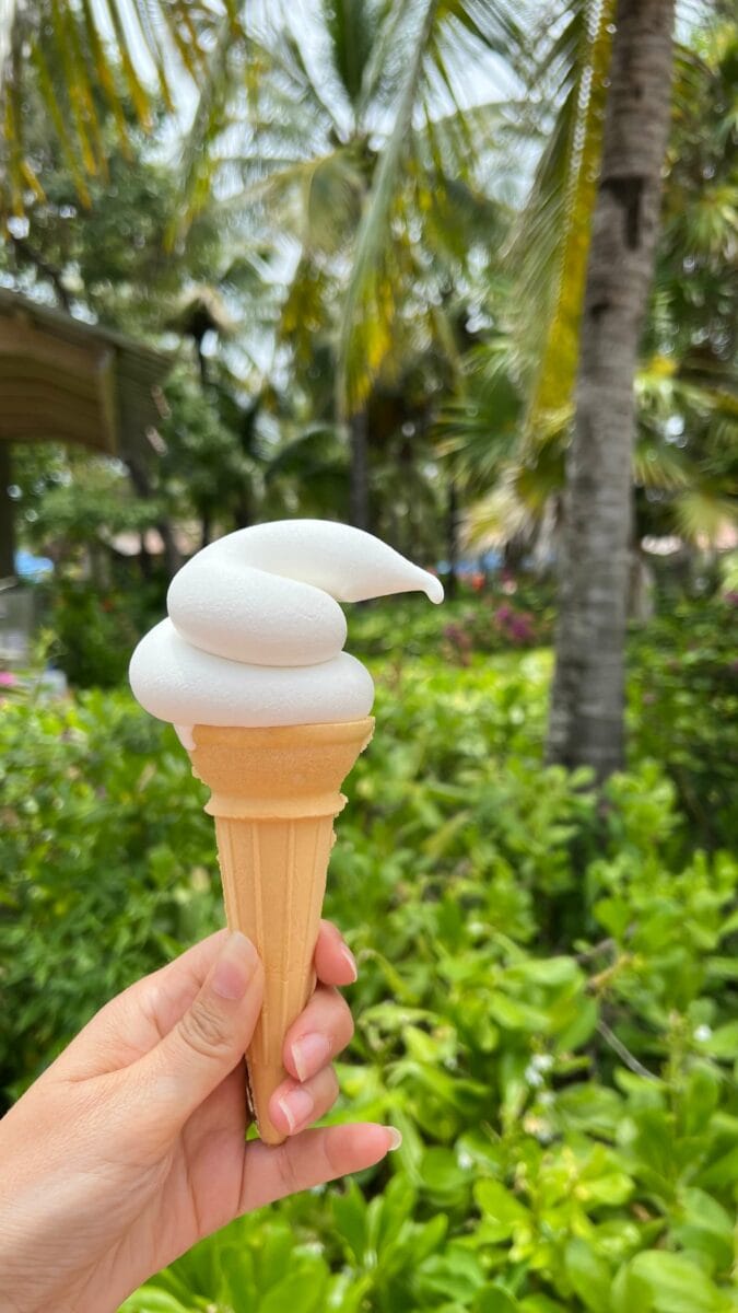 Crème glacée Disney Wish