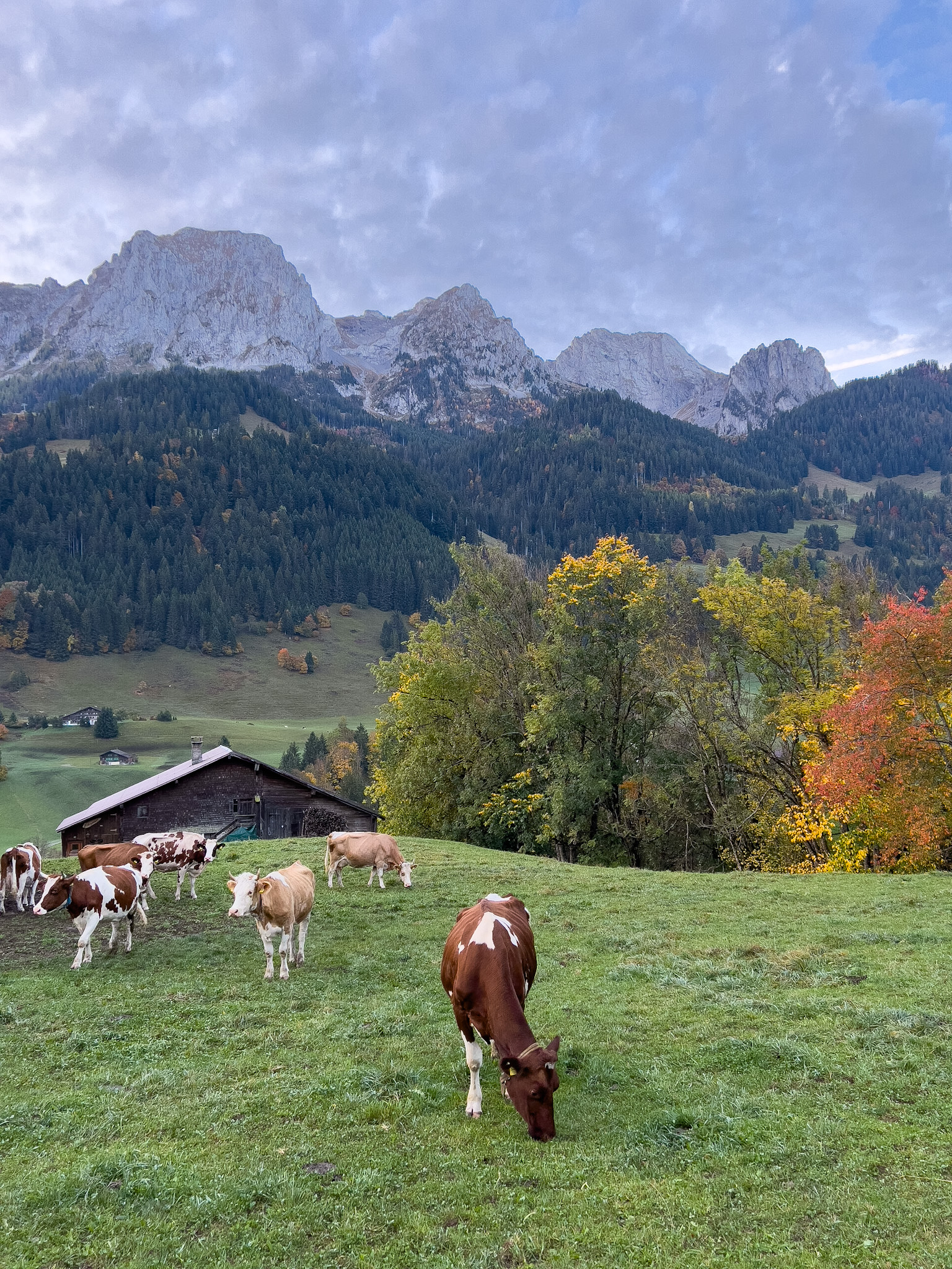 Suisse en automne