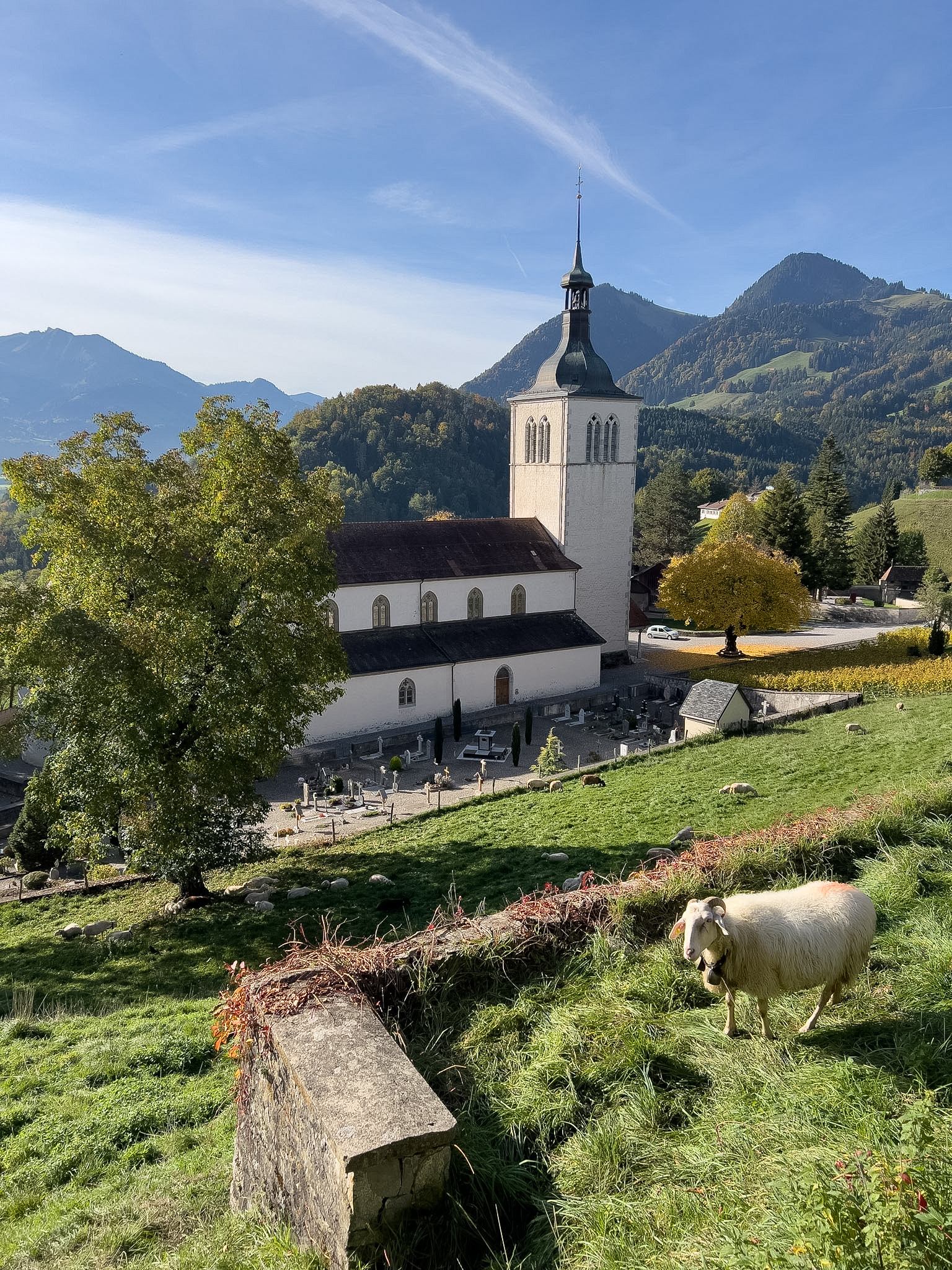 Gruyère Suisse