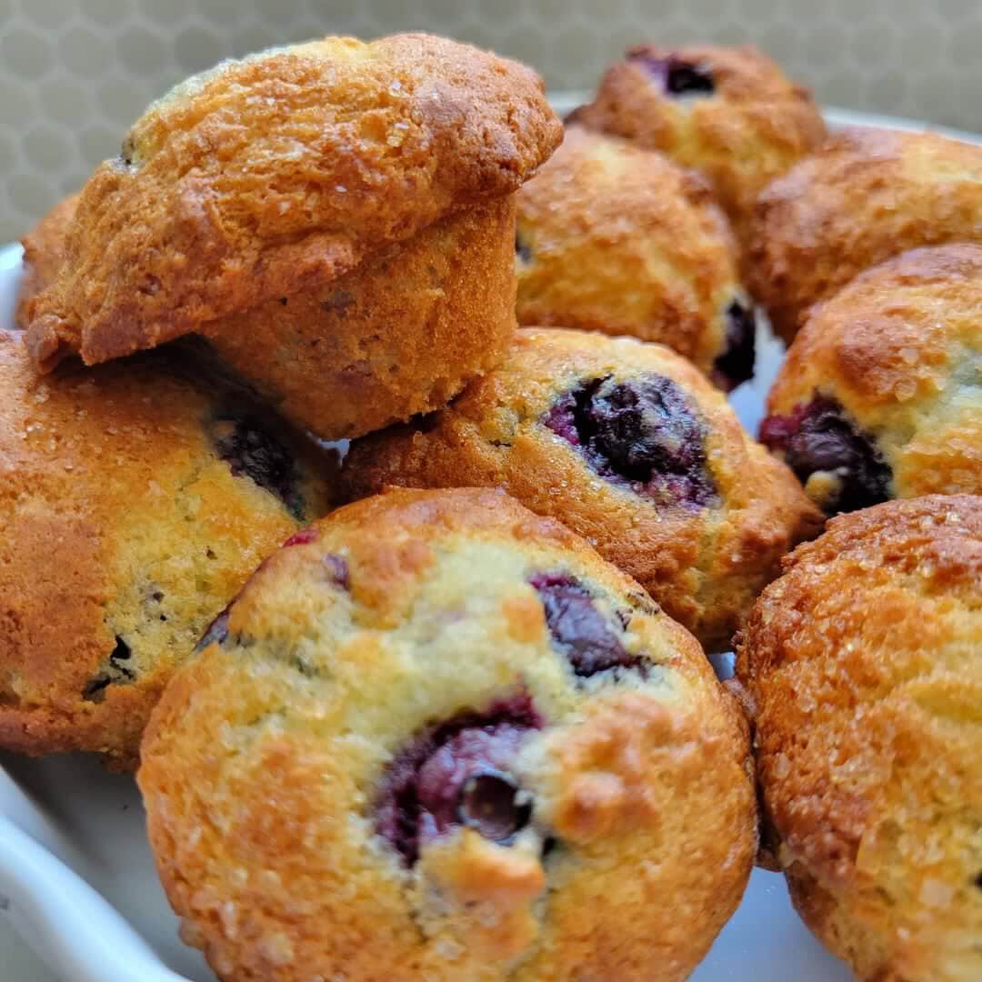 muffin aux bleuets