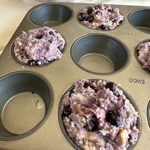 muffins aux bleuets