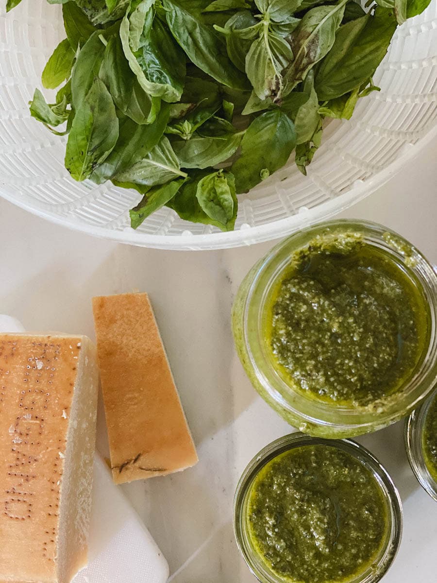 basilic, croûte de fromage parmesan et pot de pesto sur comptoir blanc