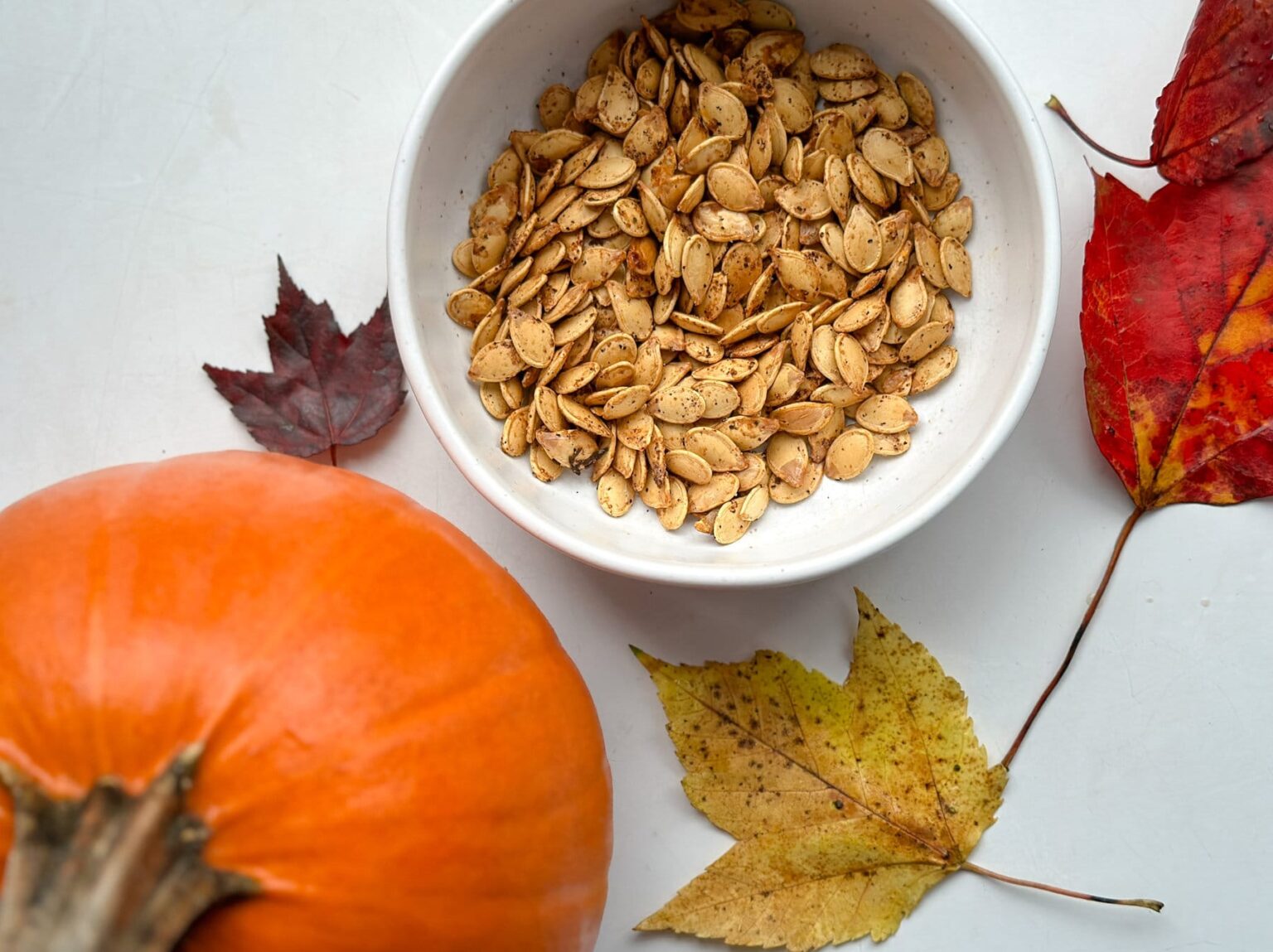 Graine de citrouille de culture regénérative du Québec