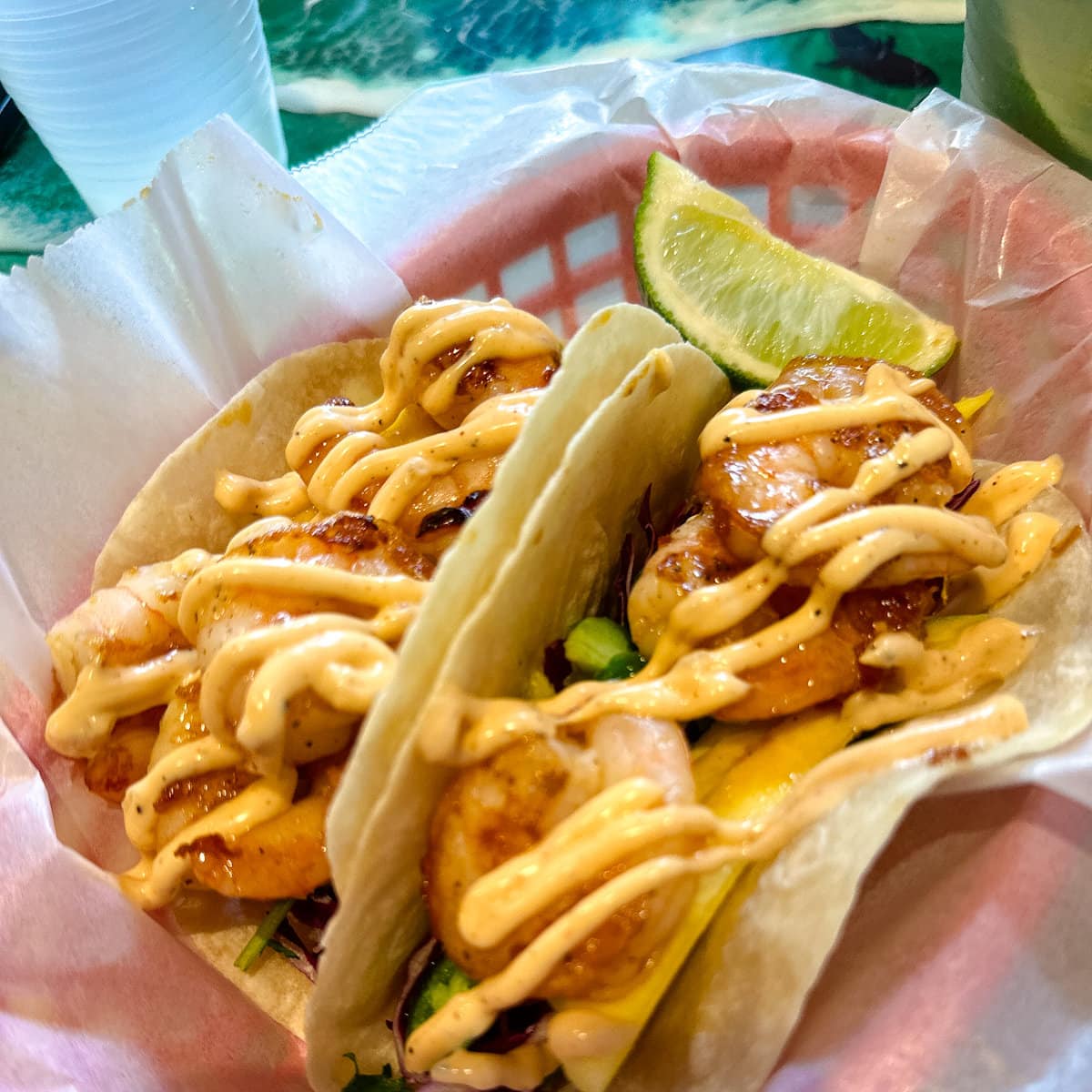 tacos crevettes yumyum chez Garbo's à Key West