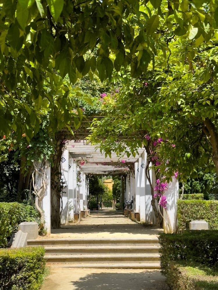 pergola fleurie dans les jardins de Séville, Espagne