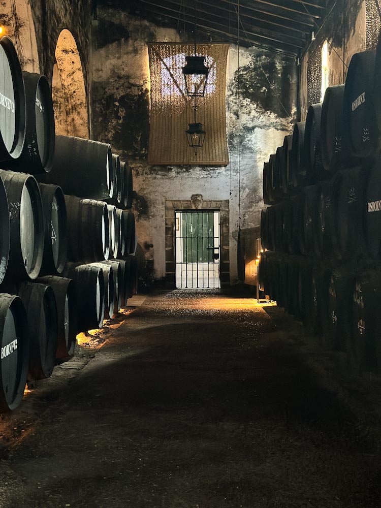 bodega osborne, jeres espagne