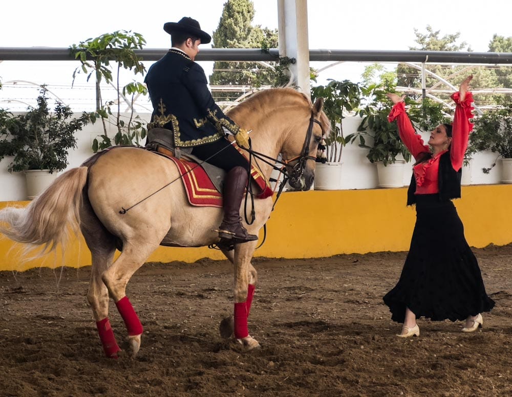 Spectacle équestre et flamenco Jeres Espagne