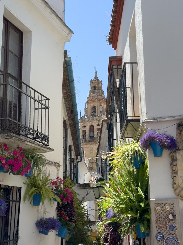 ruelle fleurie de Cordoue espagne