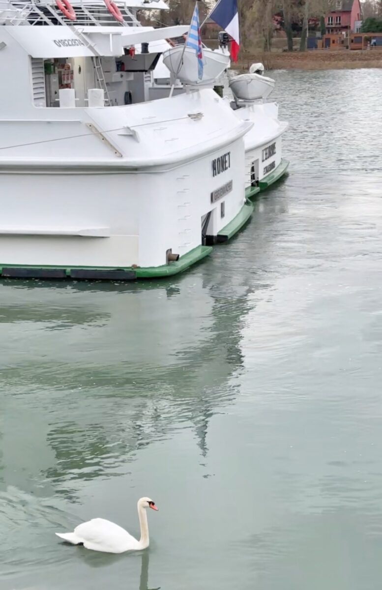 Croisière maritime, fluviale péniche, Europe?