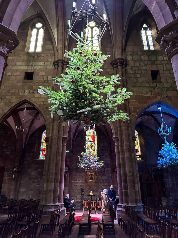 église saint-georges à Sélestat exposition sapin