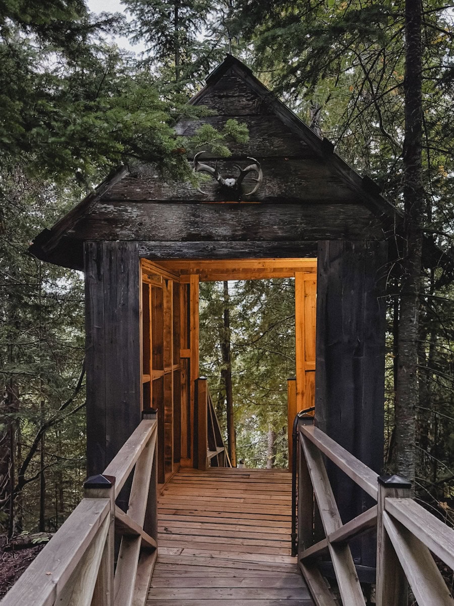 cabane en bois en forêt