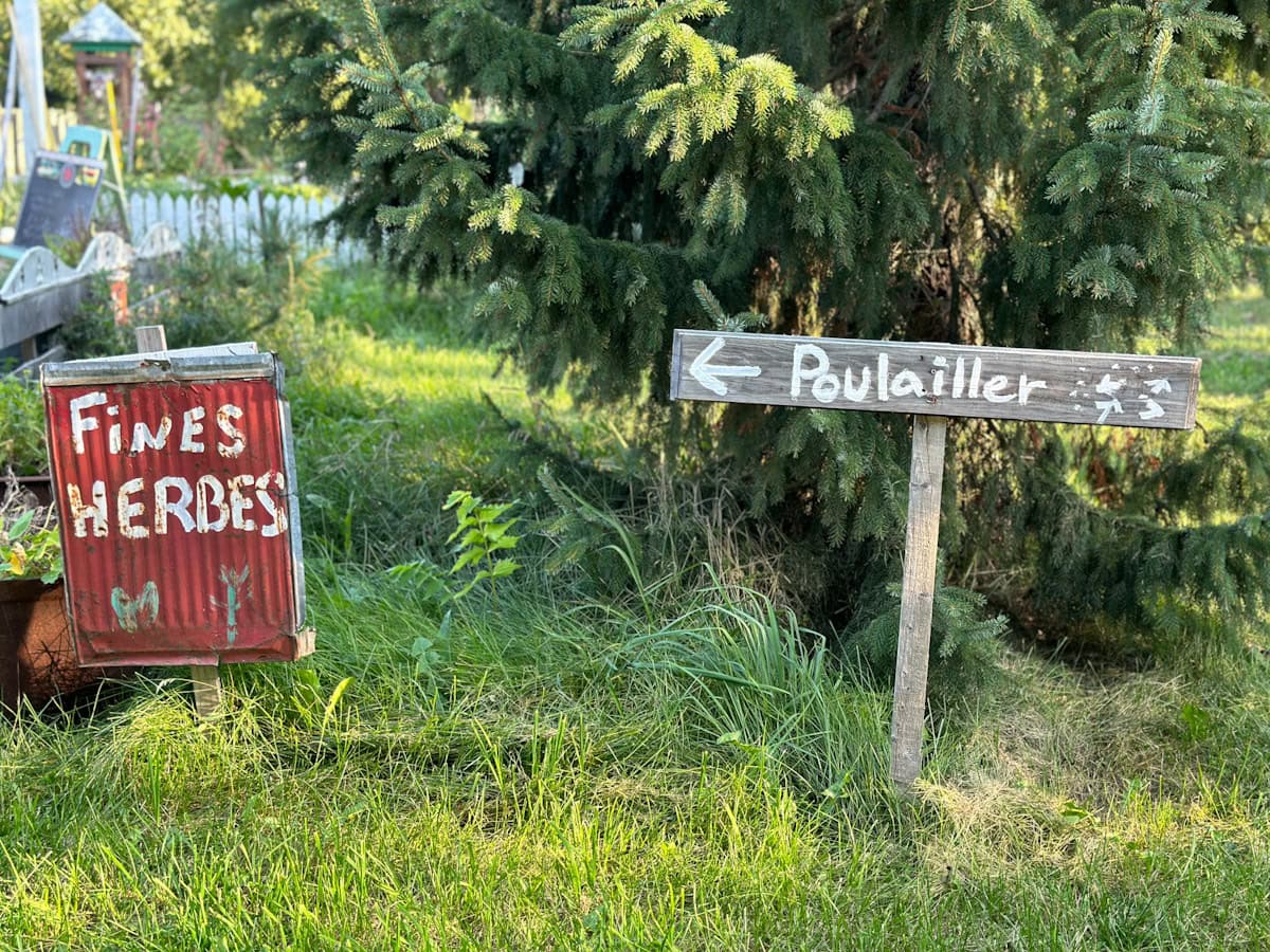 signe poulailler et fines herbes au vieux loup de mer