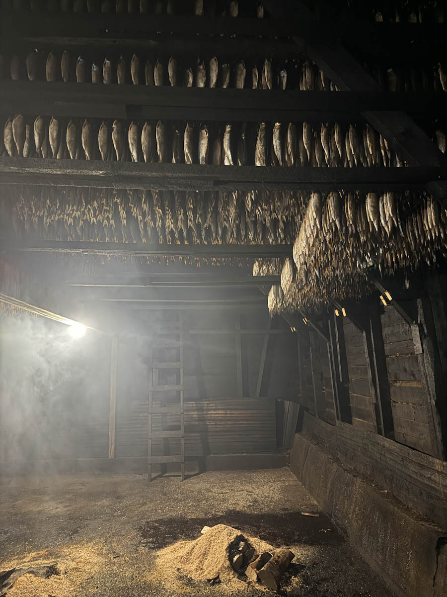 Fumoir d'Antan vue du fumoir et harengs suspendus