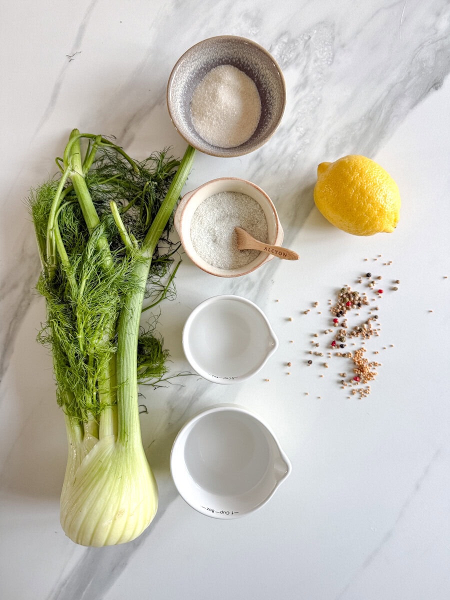 bulbe de fenouil, petits pots d'eau, vinaigre, épices, citron sur comptoir marbré blanc