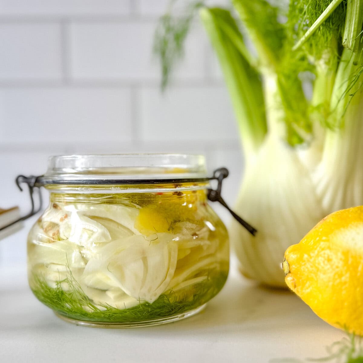 pot de fenouil mariné avec bulbe de fenouil et citron sur comptoir blanc