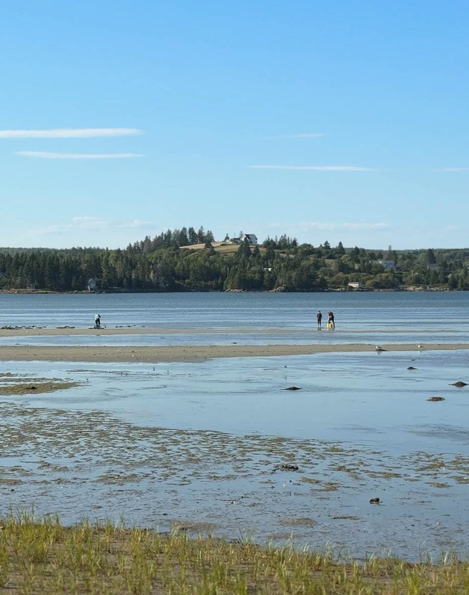 Pêcheurs de palourdes à Crescent Beach, NS