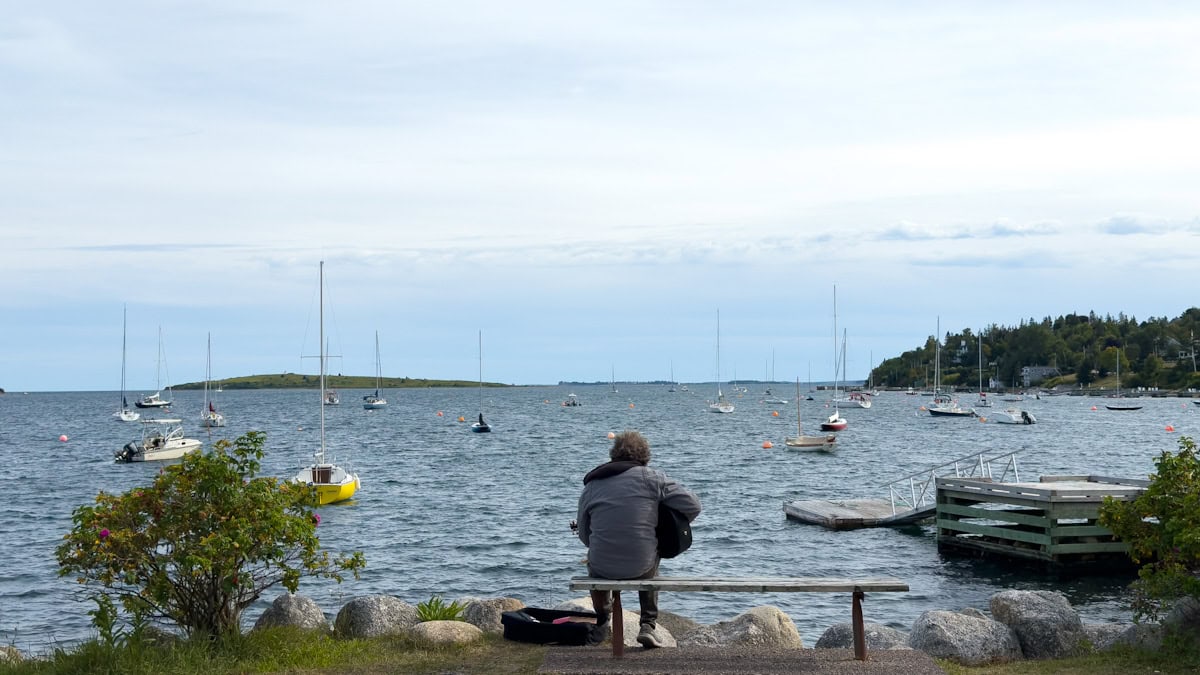 homme qui joue de la guitare de dos devant une baie remplie de voiliers entre deux rosiers sauvages à Chester, NS