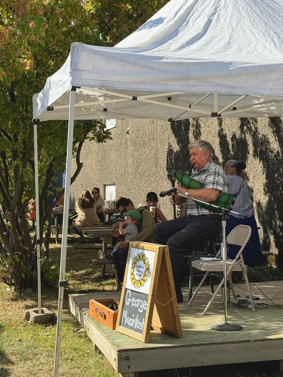 musicien au wolfville farmers market