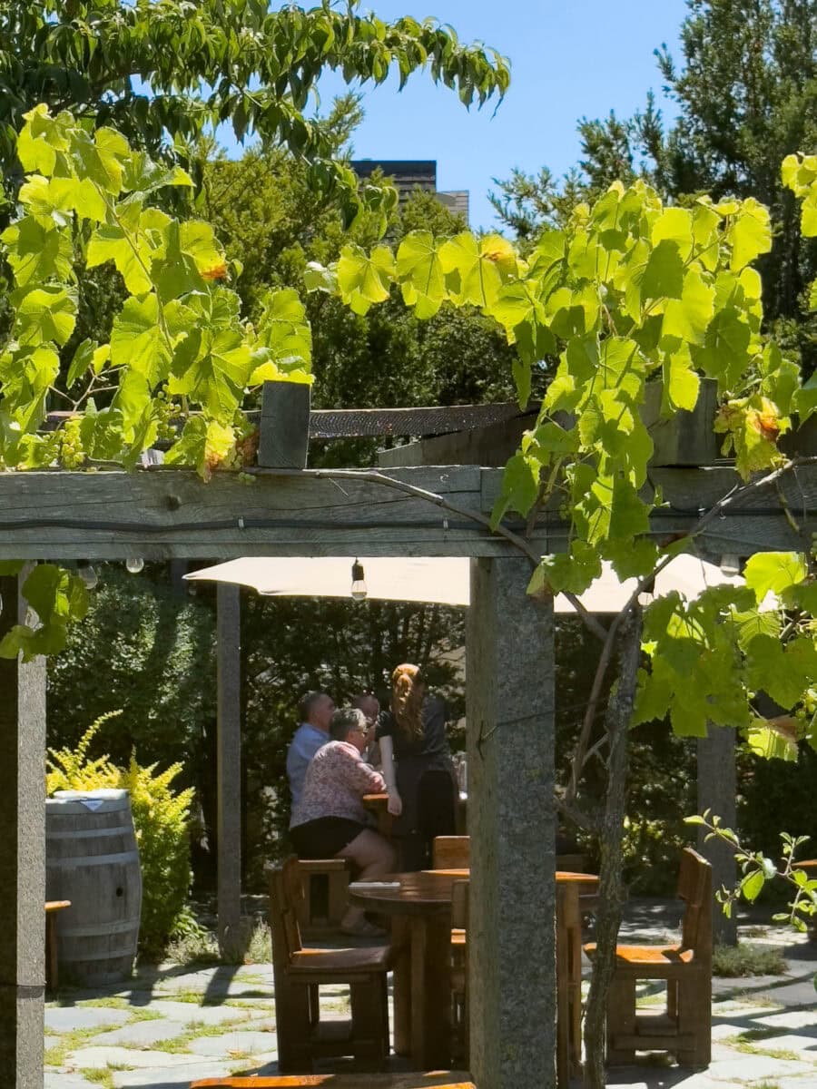 Grand pré vignoble, terrasse sous les vignes, clients à une table