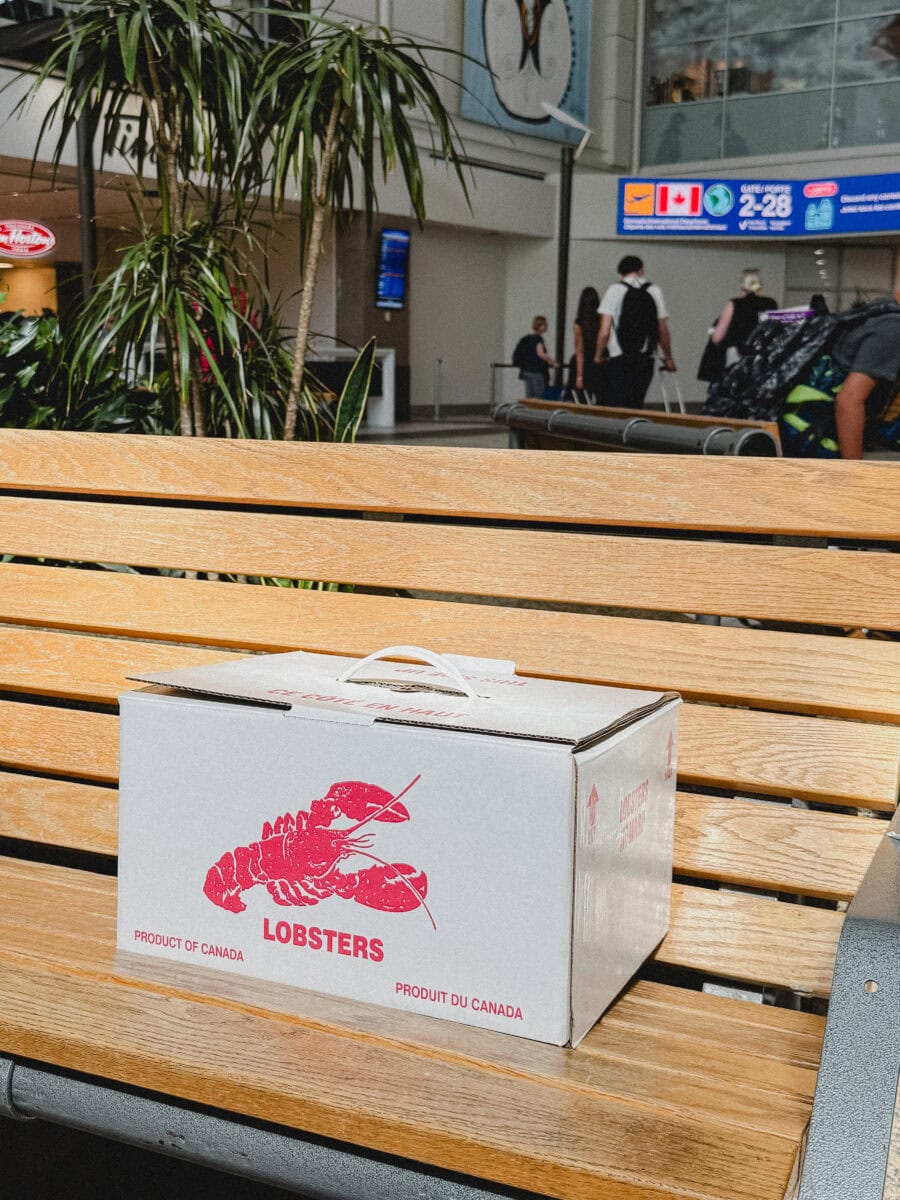 homard emballé en caisse à l'aéroport de Halifax
