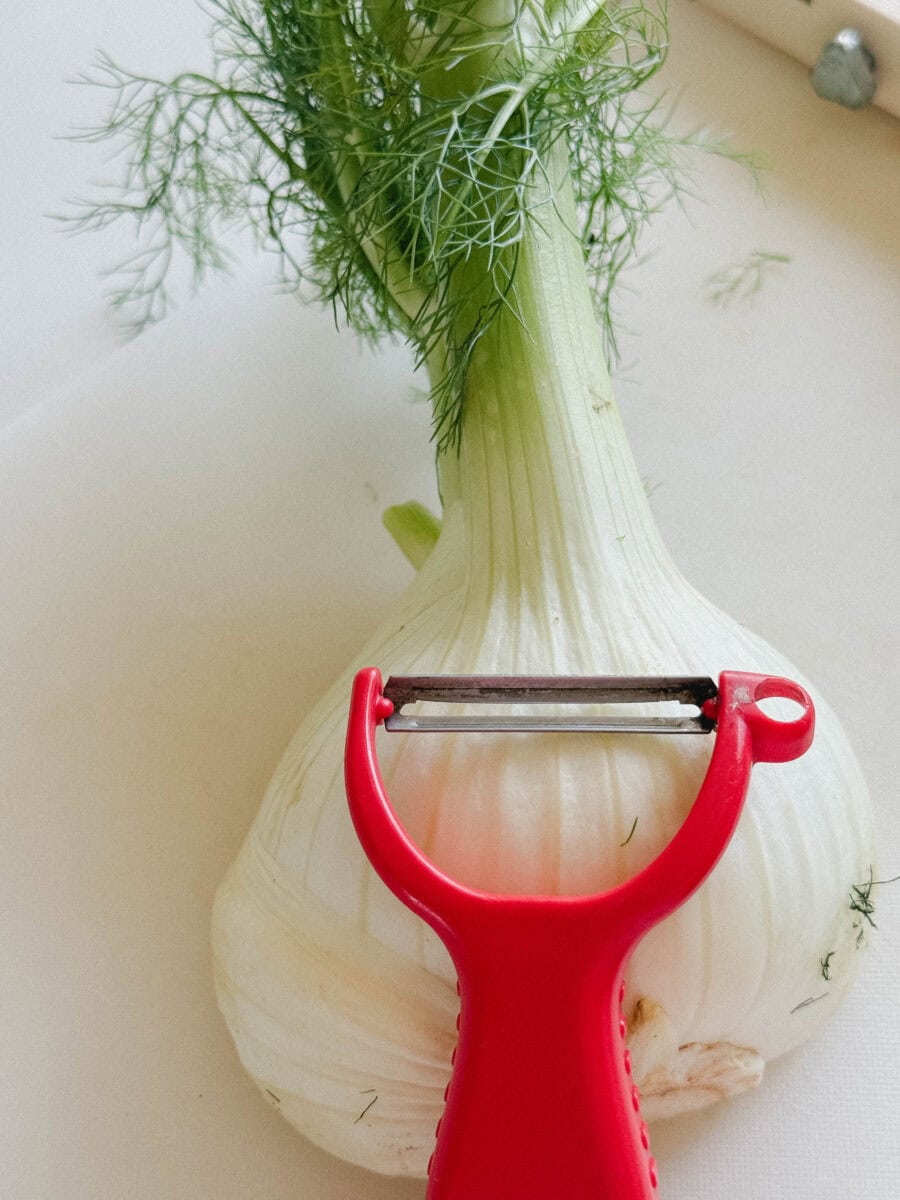 économe sur bulbe de fenouil