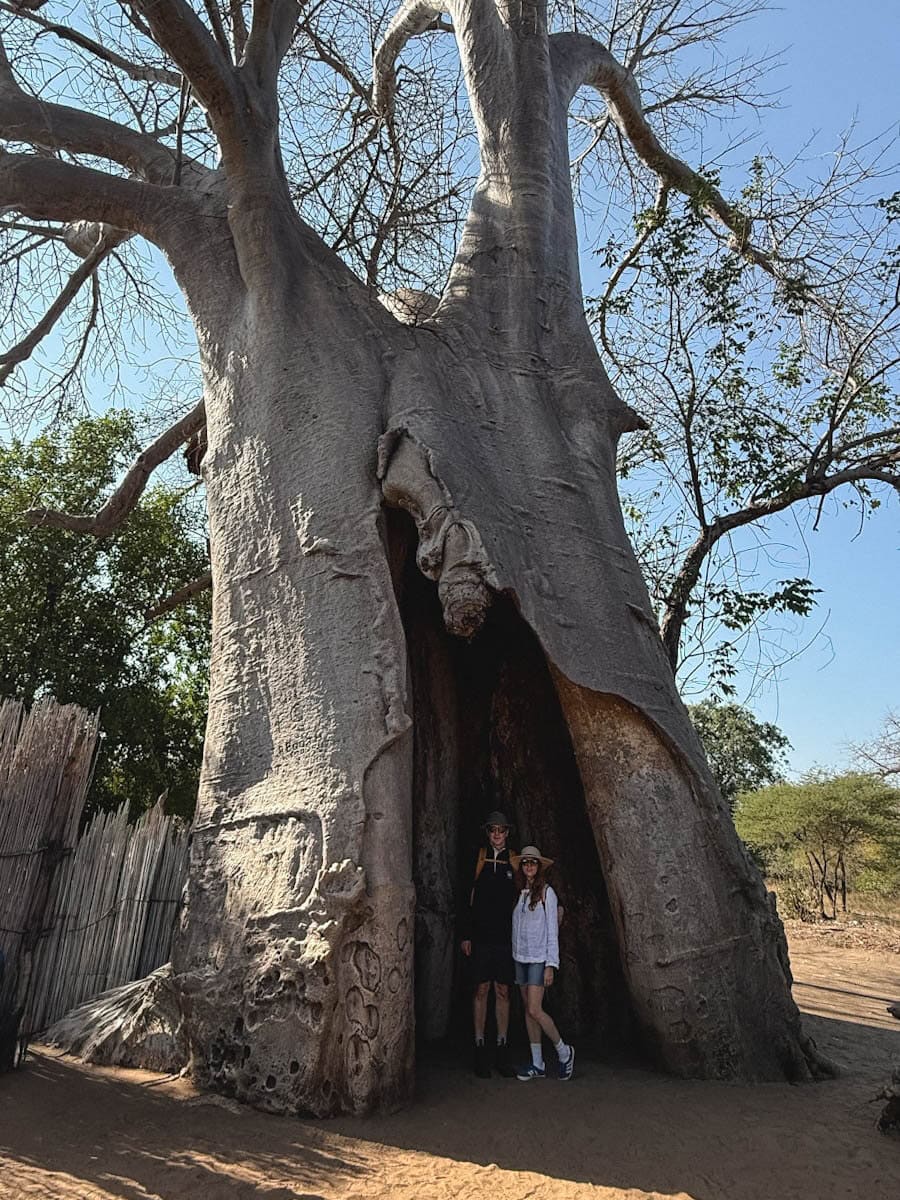 Manon Lapierre et Lionel du Souich sous un baobab en Namibie