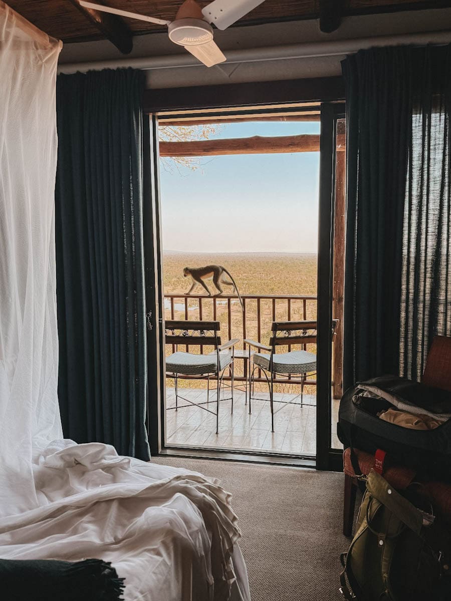 singe sur notre balcon au Victoria Falls Safari lodge