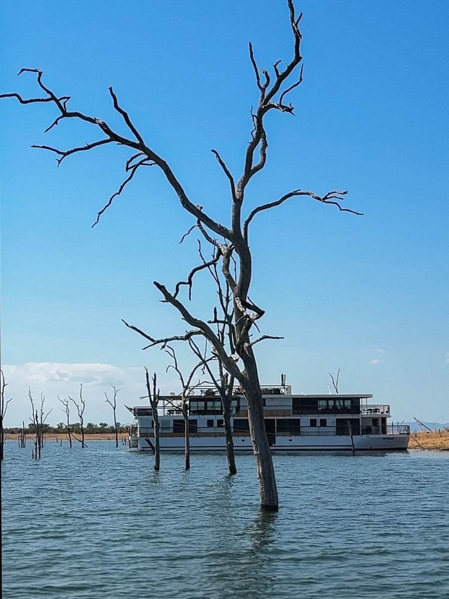 Arbre pétrifié Lac Kariba devant Zimbabwean Dream