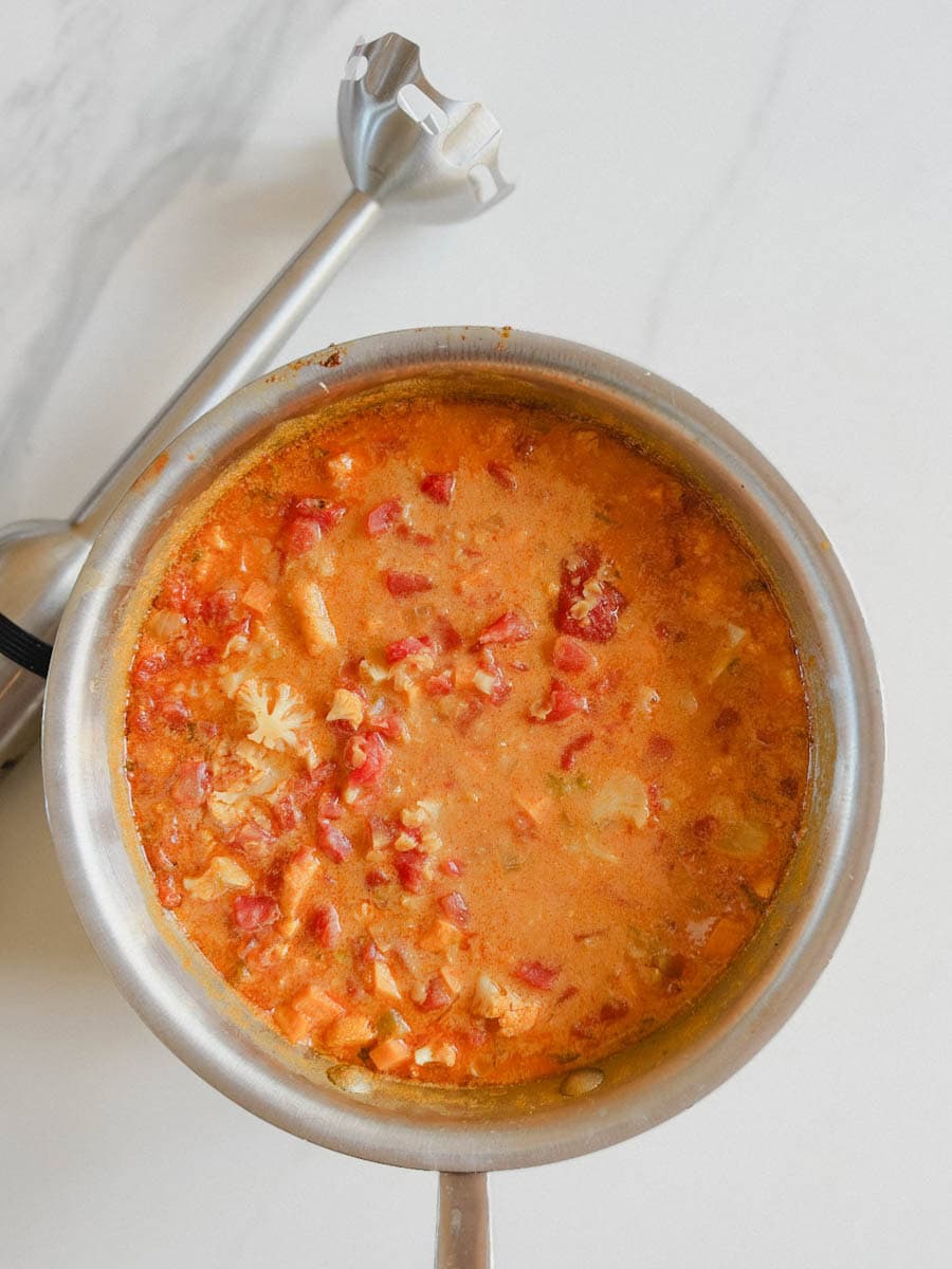 soupe aux lentilles corail avec morceaux et pied mélangeur à côté