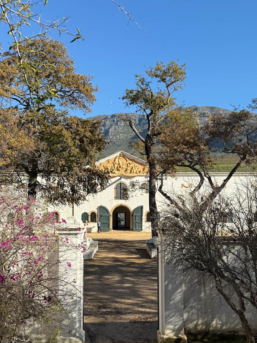 Groot Constancia vineyard