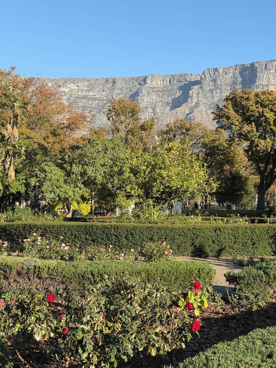Jardin et vue sur Table Mountain Cape Town